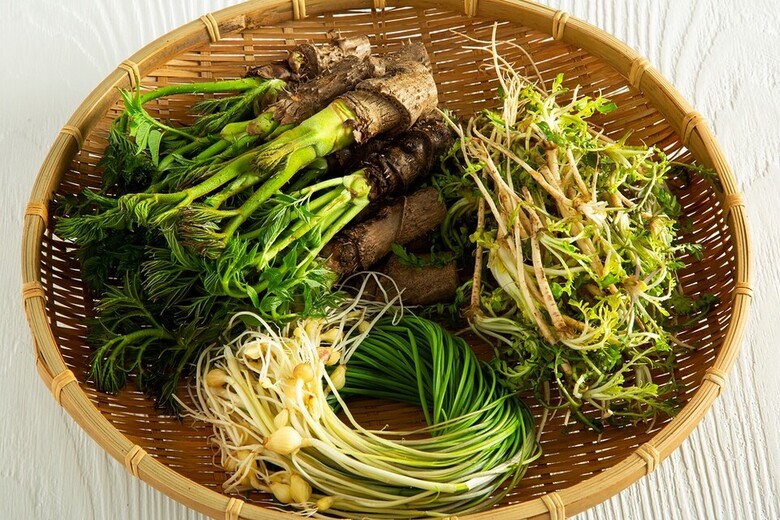 추운 겨울을 이겨낸 제철 봄나물인 달래, 두릅, 냉이 등은 특유의 향으로 입맛을 사로잡고, 돼지고기와 궁합이 좋아 다양한 요리 레시피로 활용된다.(한돈자조금 제공)
