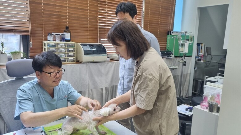 상반기 광견병 예방백신 무료 접종 실시(고양시청 제공)