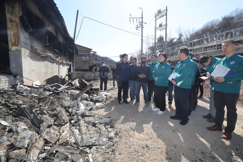 송미령 장관이 30일 축산농가 산불 피해현장을 점검하고 있다. (농식품부 제공)