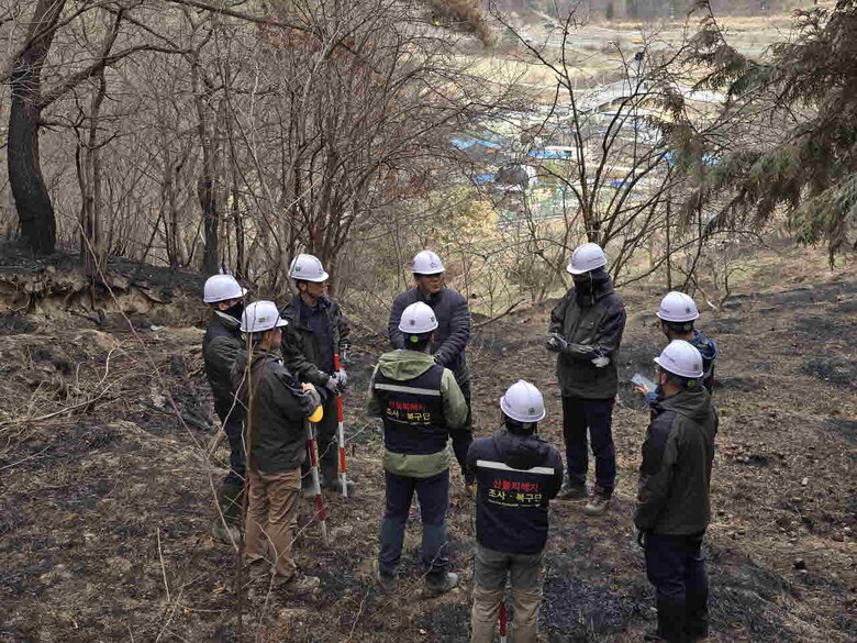 산림청은 산불피해지 긴급진단팀 파견(산림청 제공)