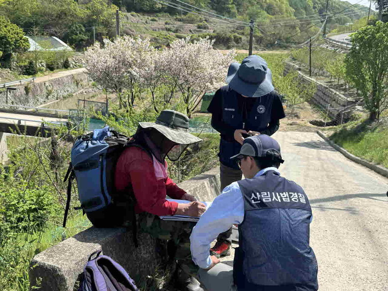 불법행위 단속(남부지방산림청 제공)