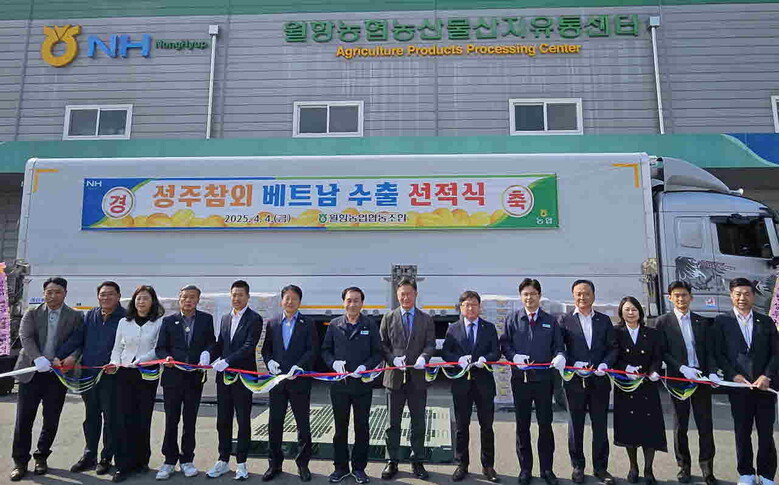 베트남에 국내산 참외를 처음으로 수출(농협 제공)
