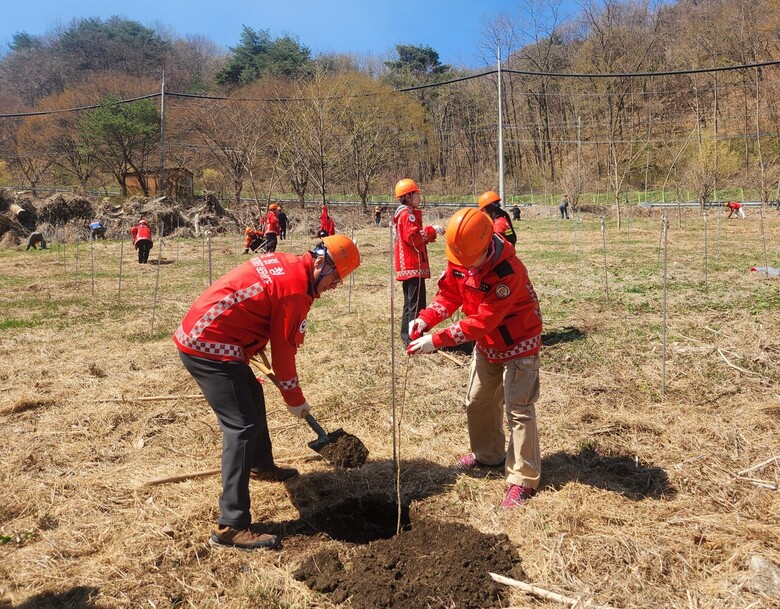 남부지방산림청장 나무심기