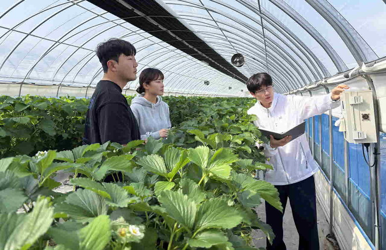 청년농업인 대상, 스마트팜 지원사업 시설 안전점검(전남농기원 제공)