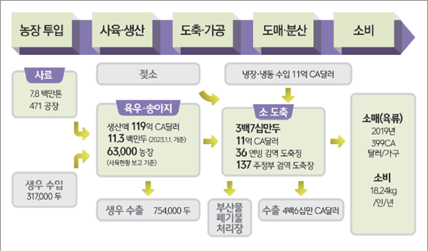 캐나다 육우 가치사슬