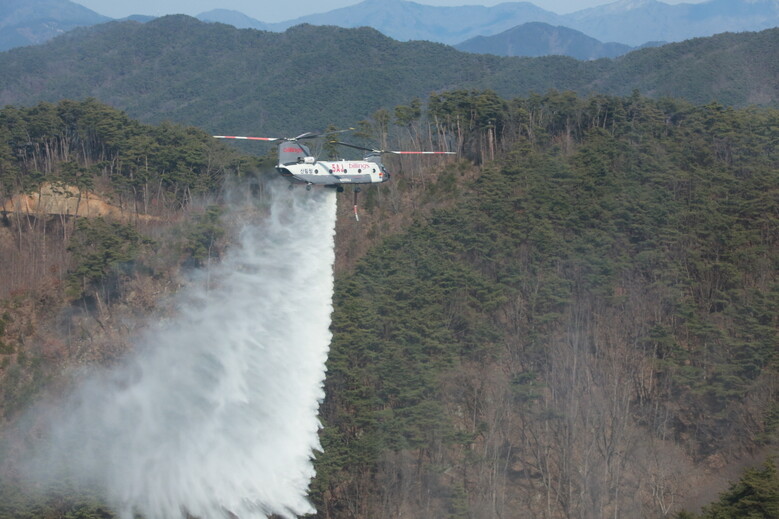 산림청 제공