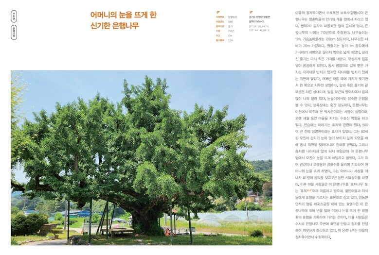 이야기가 있는 보호수 2 발간(산림청 제공)