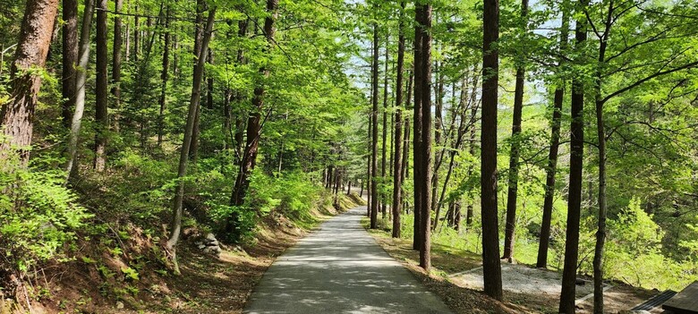 청옥산휴양림 숲길