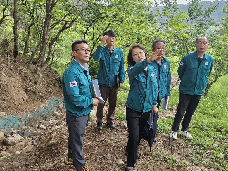 이미라 산림청 차장이 16일 울산 산불피해지 응급복구 사업지 현장을 점검하고 있다.(산림청 제공)