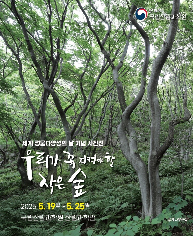 국립산림과학원 제공