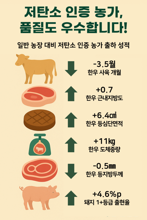 저탄소 인증 농가 출하 성적 인포그래픽