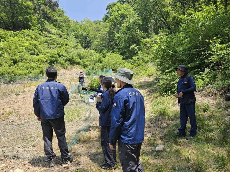 산림 내 불법행위 집중단속 실시(산림청 제공)