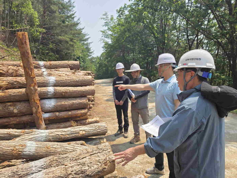 숲가꾸기 사업장 안전보건관리체계 점검 실시(서부지방산림청 제공)