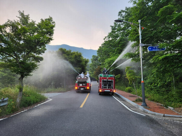 서부지방산림청 제공