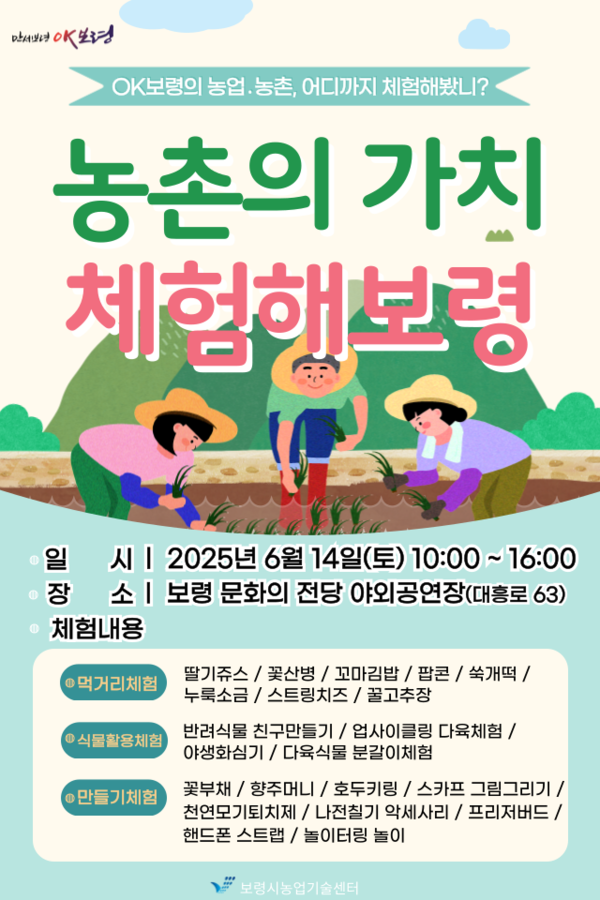 2025 농촌의 가치, 체험해보령 포스터