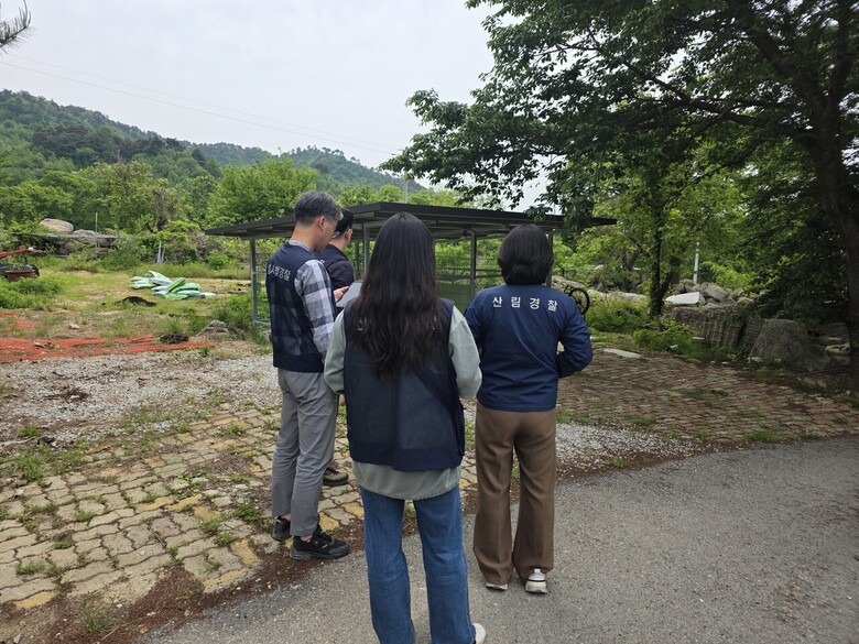 여름철 산림 내 불법행위 집중단속(서부지방산림청 제공)