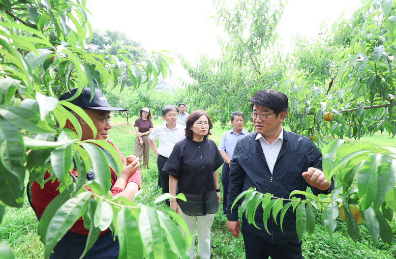 과수 탄저병 사전예방 현장점검