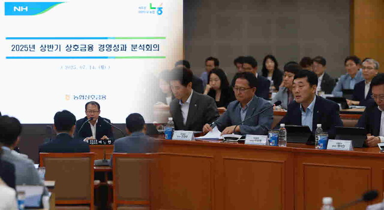 건전 결산 달성 위한 상반기 경영성과 분석회의 개최(농협 제공)