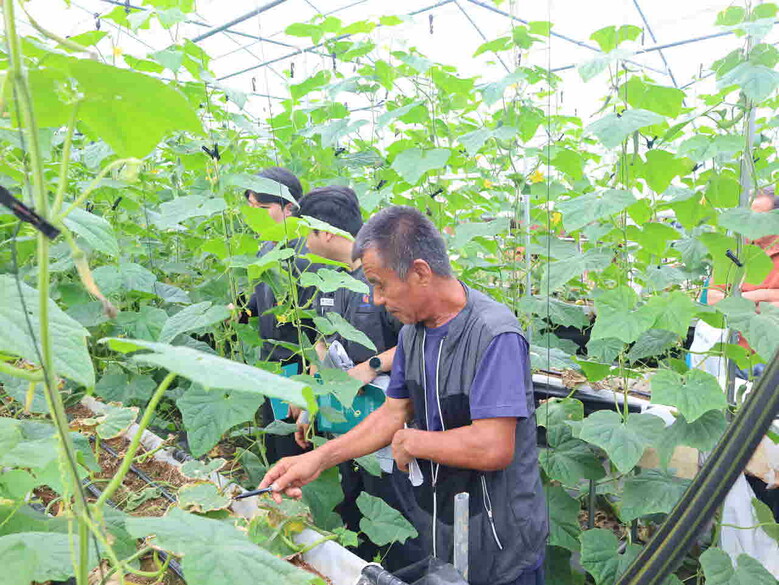 PMR춘향 통합전시포 결과발표회(경농 제공)