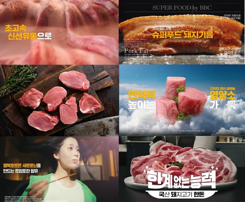 한돈자조금은 ‘한계 없는 능력, 국돼 한돈’ 캠페인을 통해 한돈이 지닌 우수한 영양학적 가치와 건강 기능을 구체적으로 전달하고, 전 국민이 한돈을 친근하게 체감할 수 있도록 소비자 접점에서 다양한 마케팅 활동을 펼치고 있다.(한돈자조금 제공)