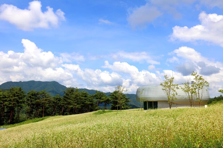 백두대간 글로벌 시드볼트 전경(산림청 제공)