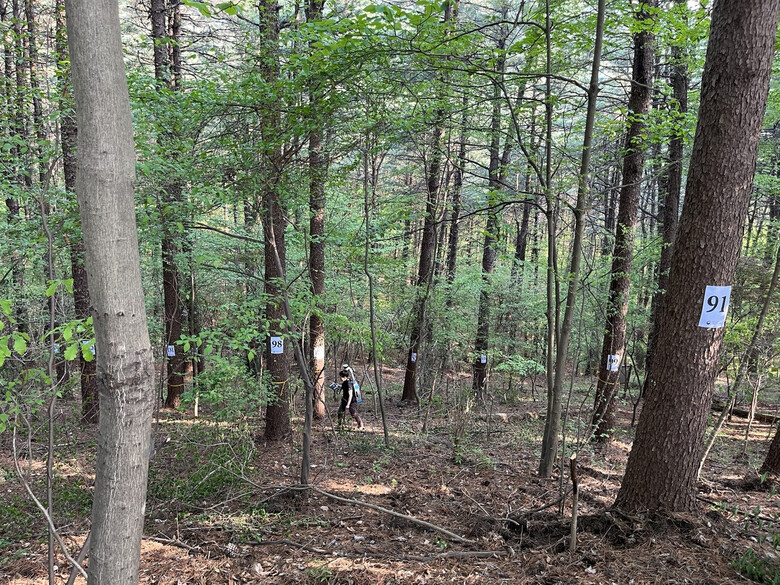 잣나무 대상지 라이다 활용 산림 스캔