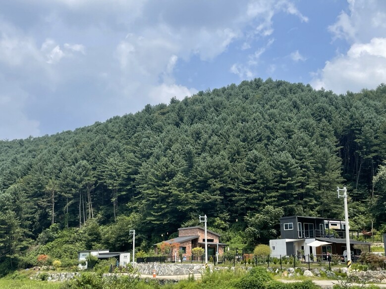 임산물양여(잣종실)
