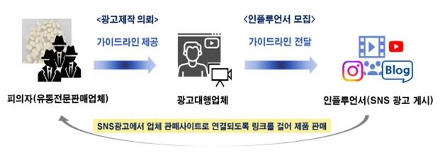 위반 행위 모식도(식약청 제공)