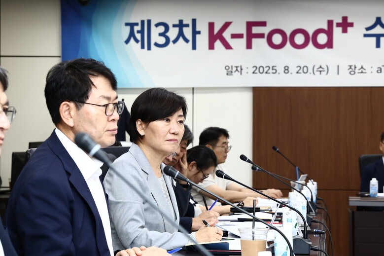 송미령 농식품부 장관이 '2025년 제3차 케이-푸드 플러스(K-푸드+) 수출확대 추진본부 간담회'를 주재하고 있다. (농식품부 제공)