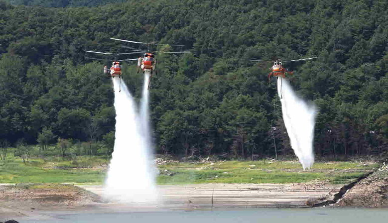 산림청 제공