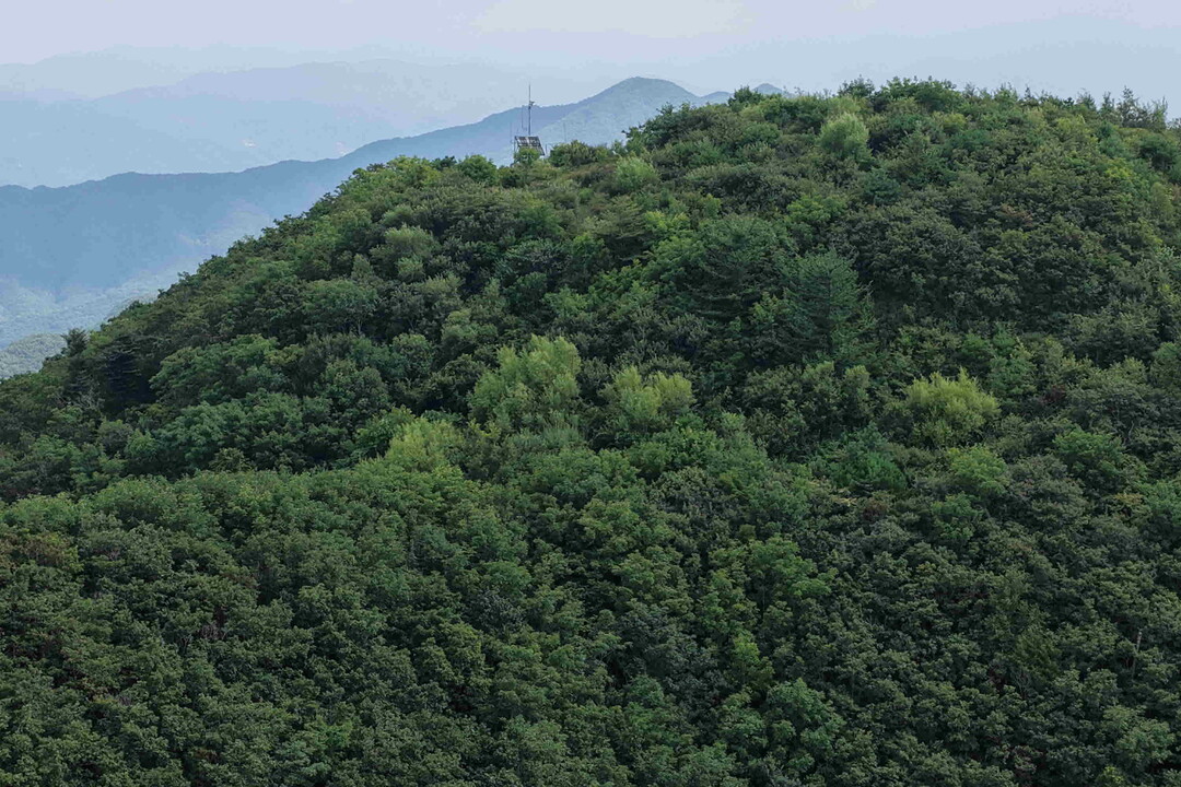 산림생태복원 20년의 성과... 최고는 김천 바람재!