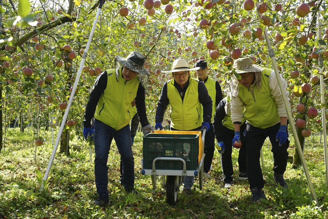 농협금융, '수확철 농촌 일손돕기' 실시
