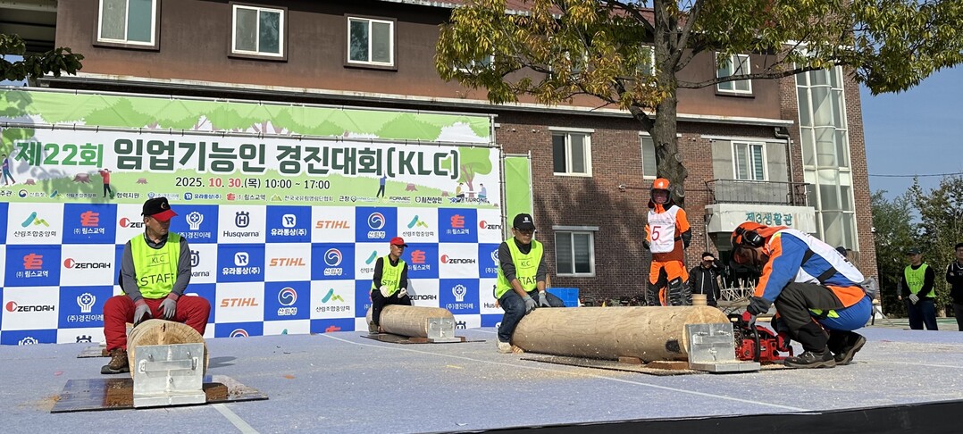 우리나라 최고의 나무베기 장인 선발!