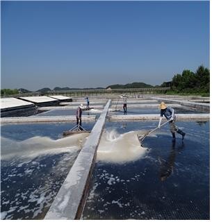 인천시, 소래습지 천일염 지원으로 지역사회 김장 행사에 힘 보태