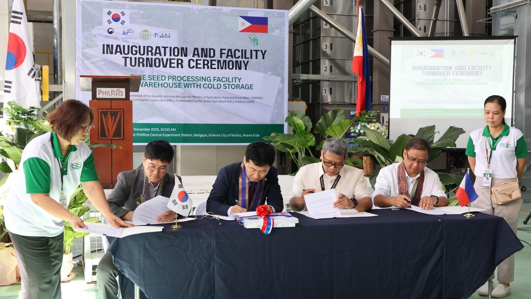 농식품부-농어촌공사 필리핀에 '고품질 쌀 종자' 보급 기반 마련