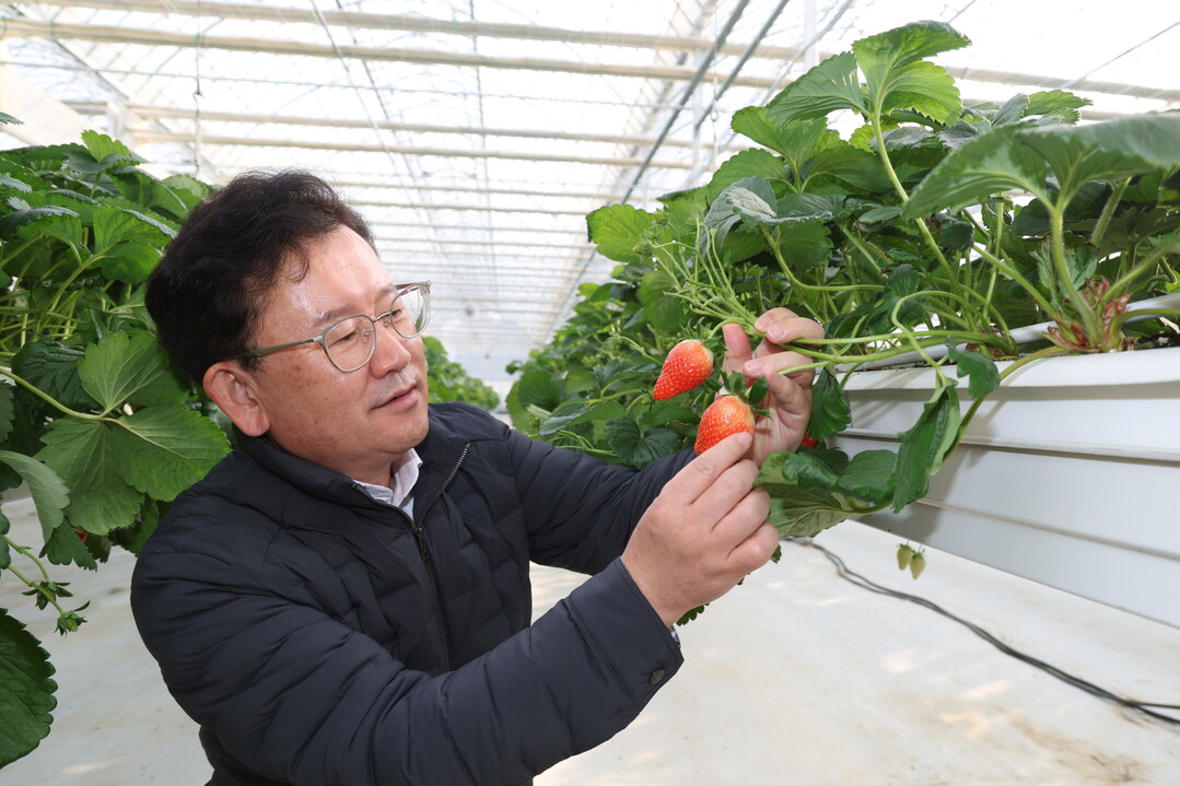 농촌진흥청, 농업 분야 대설·한파 대응 상황 점검