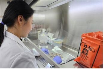 인천시, 겨울철 노로바이러스 식중독 주의 당부…다소비식품 관리 강화