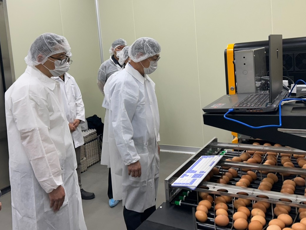 축산물품질평가원, AI 기반 계란 등급판정 기술 공개