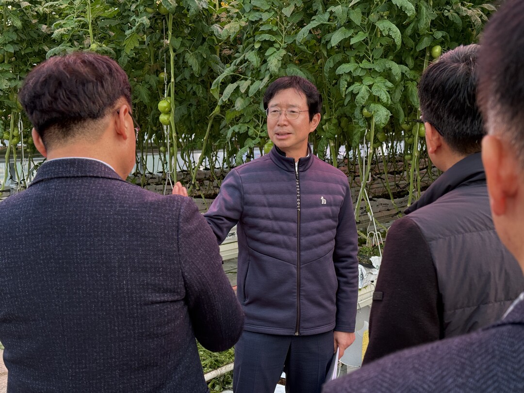 농촌진흥청, 순환식 수경재배 토마토 농가 한파 대응 점검