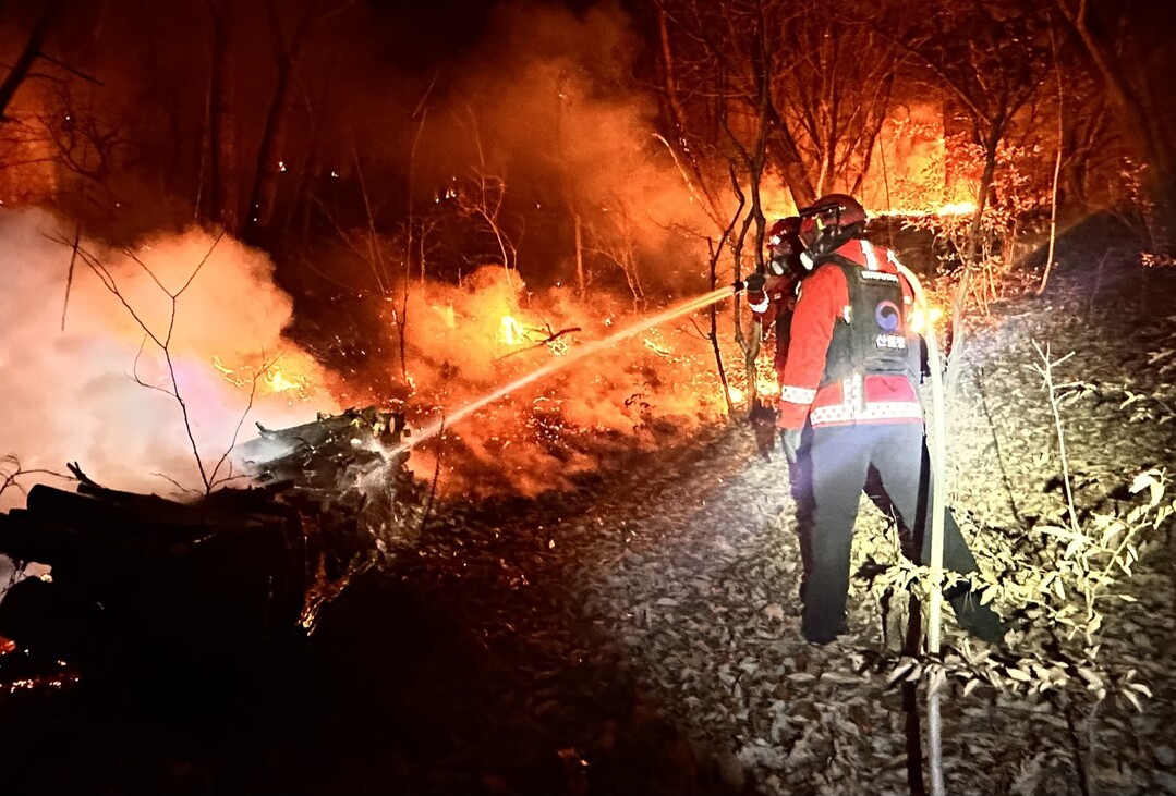 3월 14일부터 ‘대형산불 특별대책기간’ 가동, 범정부 대응체계 강화