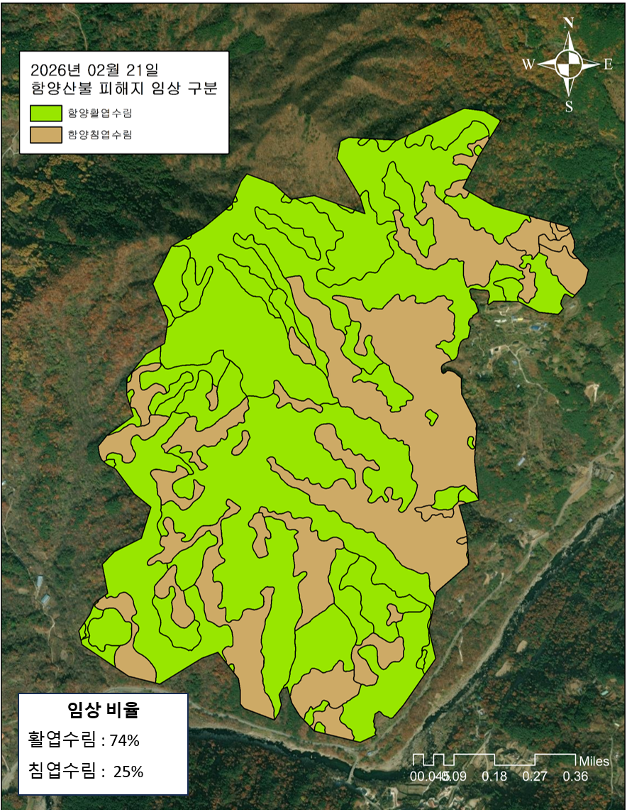 대형산불, '안전지대' 없다…전국 산림 어디서나 발생 가능