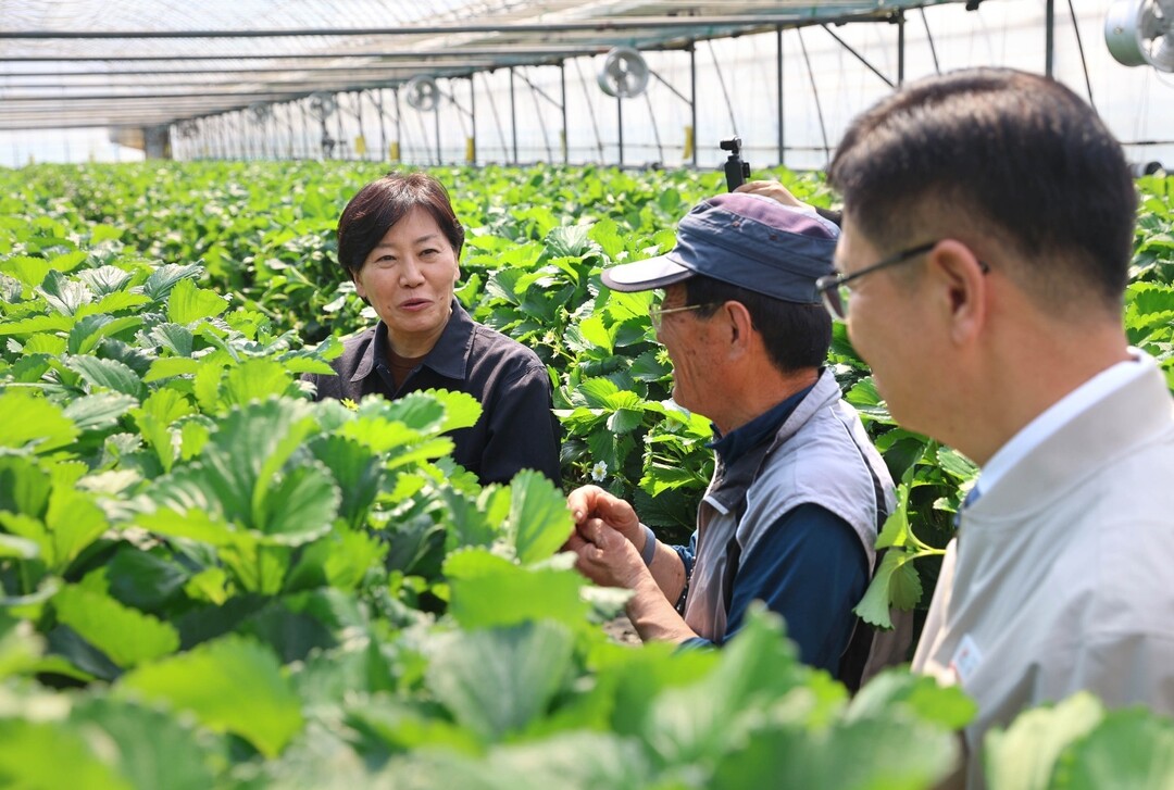 농식품부, 시설농가·농기계 면세유 지원 확대