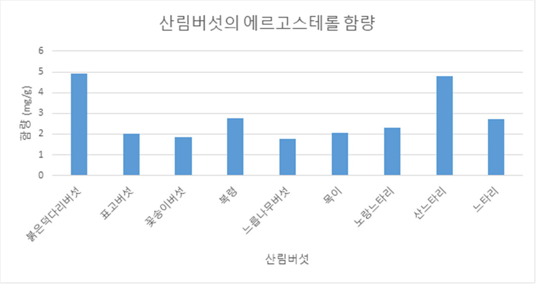 산림버섯 속 에르고스테롤, 건염 예방 돕는 건강 소재로 주목