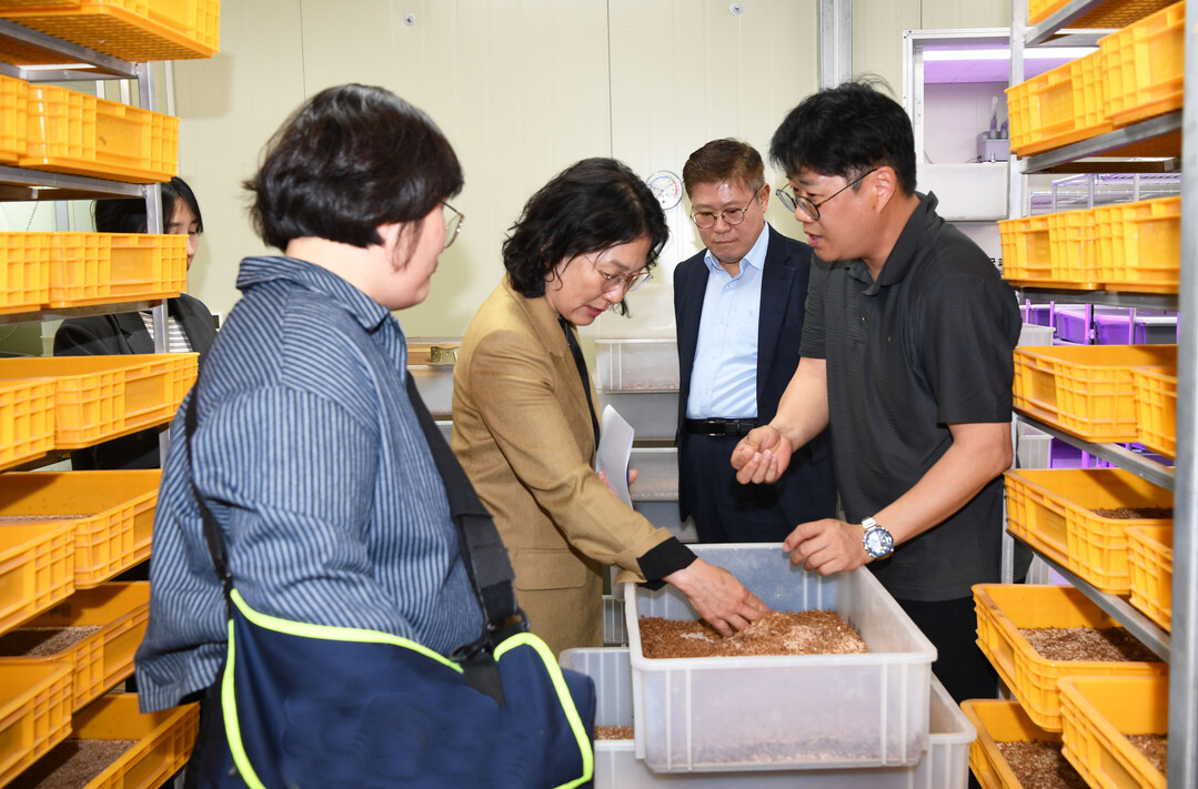 전남농기원, 담양 곤충농가 찾아 갈색거저리 산업 활성화 모색