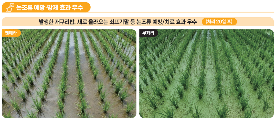 (주)경농, 논 잡초 초종별 체계처리 제안