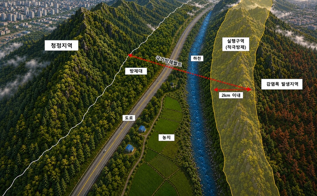 산림청, 소나무재선충병 확산 막는 ‘국가방제벨트’ 전국 조성 추진
