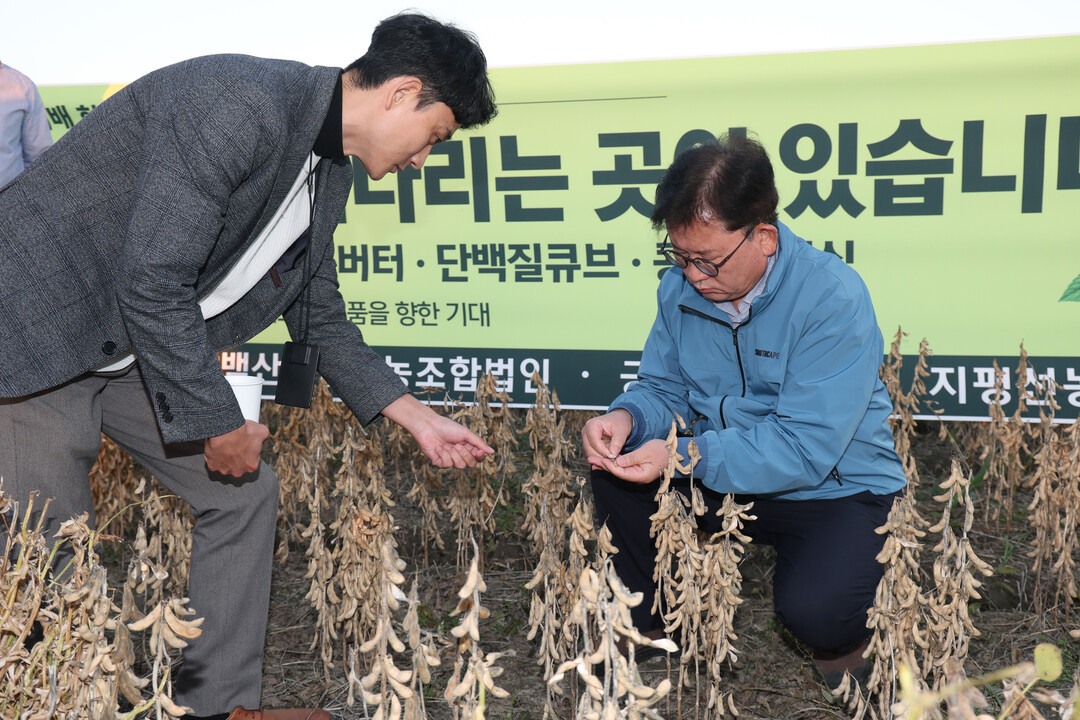 단백질 고함유 신품종 콩 ‘대단’, 농가 수익 증대·콩 산업 활력화 기대