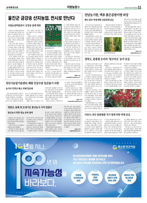 이미지보기