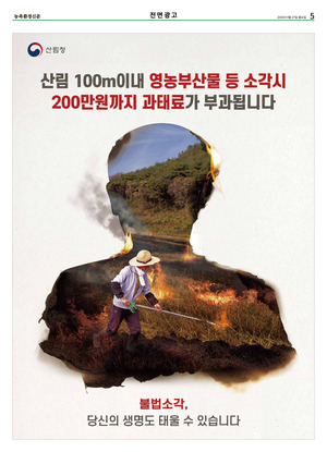 이미지보기