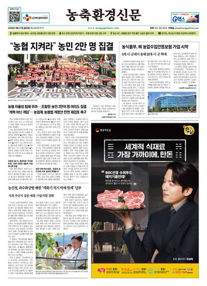 이미지보기
